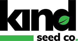 Exploring Quebec Cannabis Seeds A Guide to Cultivation and Care Exploring Quebec Cannabis Seeds A Guide to Cultivation and Care