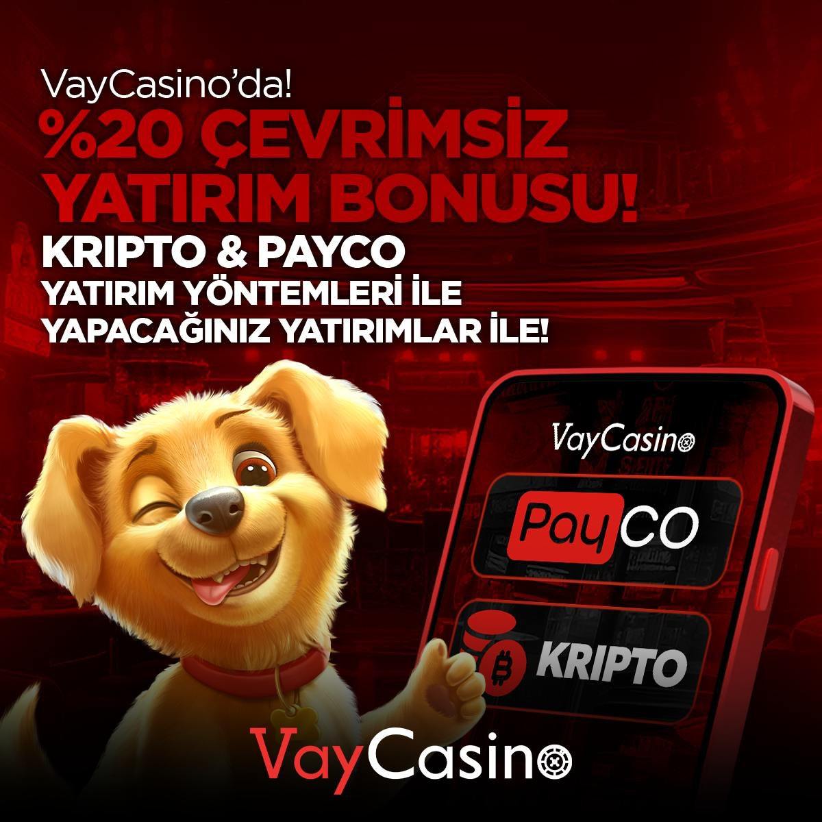 VayCasino Bahis Şartı Yok Bonusu