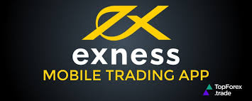 Comprehensive Review of Exness Broker Rating 6 Comprehensive Review of Exness Broker Rating 6